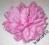Różowy duży kwiat klamra (11)