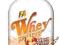 FA Whey Protein 2270g WYS KURIEREM GRATIS !!!!!