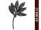elementy kute - gałąź gałązka lauru laur 008.12