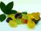 Żelki owocowe BIO - egzotyczny mix -100g