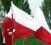 flaga Polski,Polska,flagi,Szturmówka 70x110cm