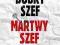DOBRY SZEF MARTWY SZEF Ray Immelman MT Biznes