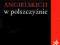 SŁOWNIK ZAPOŻYCZEŃ ANGIELSKICH W POLSZCZYŹNIE