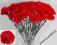 Piękny czerwony goździk ,sztuczne kwiaty