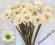 Piękna biała gerbera2,sztuczne kwiaty