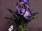 Storczyk z doniczką LUX fioletnieb Sztuczne kwiaty