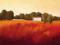 Plakat obraz 20x20cm ALH-AZ148 SCARLET LANDSCAPE I