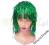 Peruka foliowa Zielona