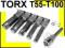 NASADKI TORX T55-T100 1/2 100mm ZESTAW 6 ELE [F572