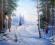A-art1 Obraz olejny Pejzaż zimowy 50x60 cm