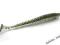 KEITECH SWING IMPACT4" - SILVER FLASH MINNOW