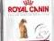 Royal Canin Exigent 33 Aromatic attraction - 2kg.