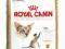 Royal Canin Siamese - 0,4kg.