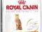 Royal Canin Exigent 42 Protein preference - 0,4kg