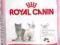 Royal Canin Kitten 36 - 0,4kg.