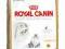 Royal Canin Persian 30 - 0,4kg.