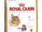 Royal Canin Maine Coon 31 - 0,4kg.