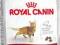 Royal Canin Fit 32 - 0,4kg.