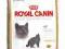 Royal Canin British Shorthair 34 - 0,4kg.