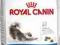 Royal Canin Indoor Long Hair 35 - 0,4kg.
