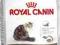 Royal Canin Ageing +12 - 0,4kg.