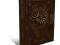 Dragon Age 2 Official Guide Collector's Edition