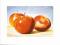 Plakat obraz 80x60cm EGA-KLB-1026 AN APPLE A DAY