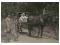 Bryczka zaprzężona koniem z ok 1890 roku