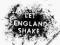 PJ HARVEY - LET ENGLAND SHAKE CD