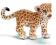 SCHLEICH MAŁY LEOPARD new 2009