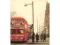 The Bus We Loved: London's Affair with the Routema