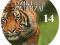 Dziki świat zwierząt : Tygrys - zwinność i pow