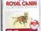 Royal Canin Fit 32 400gr + 400gr PROMOCJA