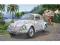 REVELL VW Beetle 195152
