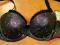 Dama Kier 2101 biustonosz Laura push-up 80 B