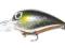 Storm Wiggle Wart 5cm, 11g WW05 VM592, na troć