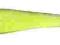 Ripper BlueFox Tri Shad TRI90VGBTR 8cm, sandaczowy