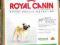 Royal Canin, Pug (Mops) - 0,5kg