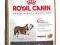 Royal Canin, Bulldog 24 - 3kg.