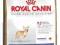 Royal Canin Chihuahua 30 junior - 0,5kg