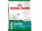 Royal Canin Mini Junior- dla szczeniąt 500g+300g
