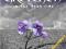 GRETCHEN - IN THE MEAN TIME [CD] NOWA Z ANGLII