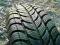 185/65/15 185/65R15 SAVA ESKIMO S3 7mm 88T 1sztuka