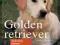 Golden retriever wychowanie - KONIN, pies, Nowa !