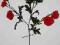 Dzika róża-sztuczne kwiaty jak żywe od Amidex