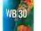 Odrdzewiacz z siarczanem molibdenu APP WB30 (WD40)