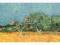 Plakat obraz 100x35cm EMA-E673 VIEW OF ARLES WITH