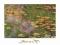 Plakat obraz 80x60cm EMA-K217 THE WATER-LILY POND