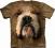 THE MOUNTAIN - Koszulka Bulldog Face od VEOVEO XL