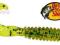 BASS PRO SHOPS Guma twister SG GREEN 2"